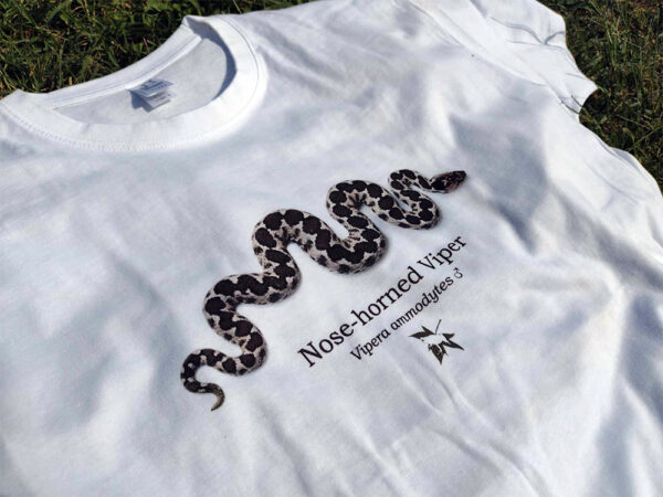 T-shirt - Κερασφόρος Οχιά, Vipera ammodytes, αρσενική - Διάφορα χρώματα - Image 26