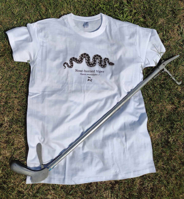 T-shirt - Κερασφόρος Οχιά, Vipera ammodytes, αρσενική - Διάφορα χρώματα - Image 25