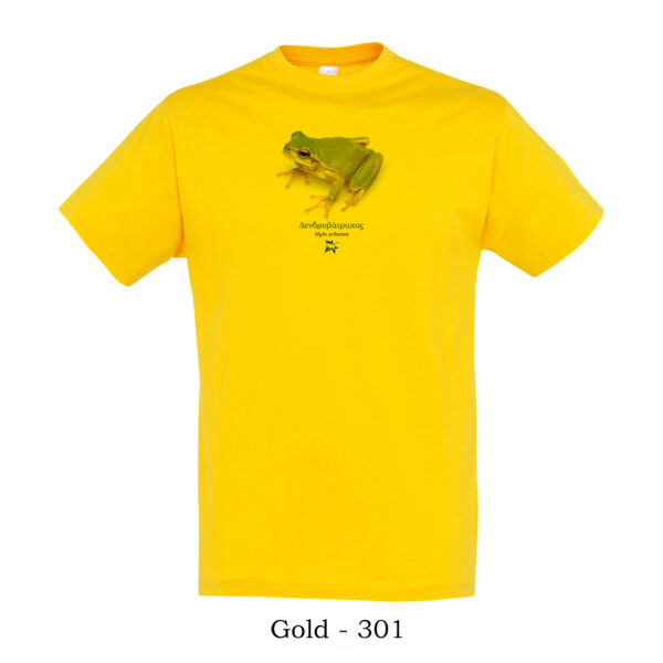 T-shirt με Δενδροβάτραχο, Hyla arborea - Διάφορα χρώματα - Image 9