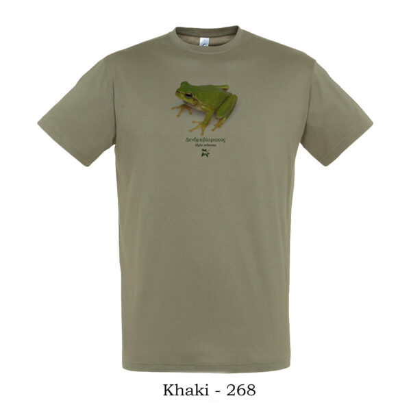 T-shirt με Δενδροβάτραχο, Hyla arborea - Διάφορα χρώματα - Image 10
