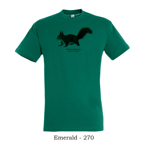 T-shirt με Κόκκινο Σκίουρο, Sciurus vulgaris - Διάφορα χρώματα - Image 3