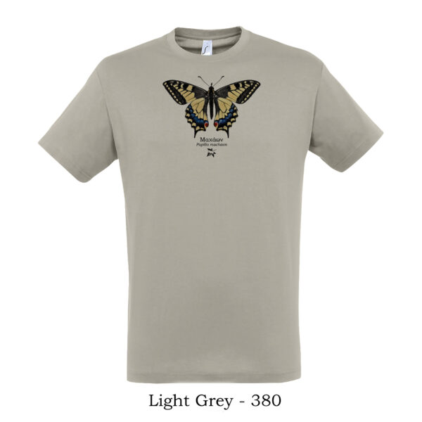 Πεταλούδα Μαχάων Papilio machaon tshirt t shirt πτηνά πουλιά θηλαστικά έντομα πανίδα ζώα της Ελλάδας