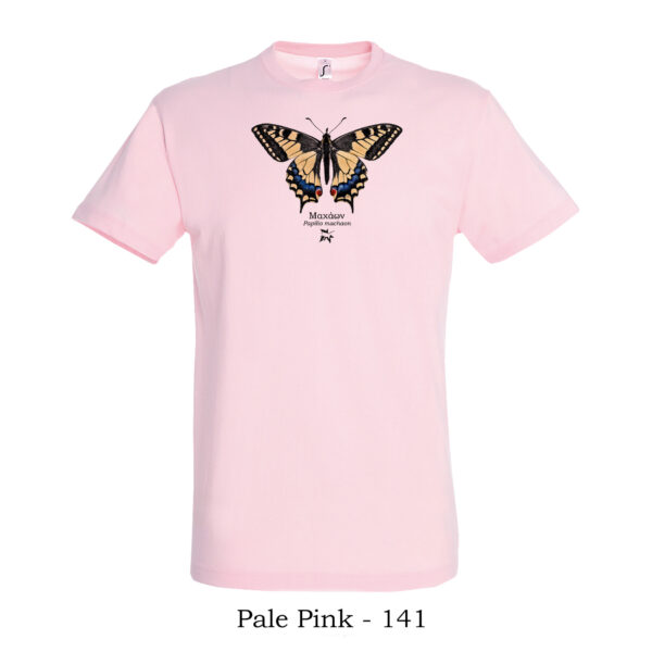 Πεταλούδα Μαχάων Papilio machaon tshirt t shirt πτηνά πουλιά θηλαστικά έντομα πανίδα ζώα της Ελλάδας