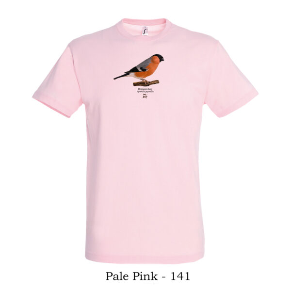 T-shirt με Πύρρουλα, Pyrrhula pyrrhula - Διάφορα χρώματα - Image 10