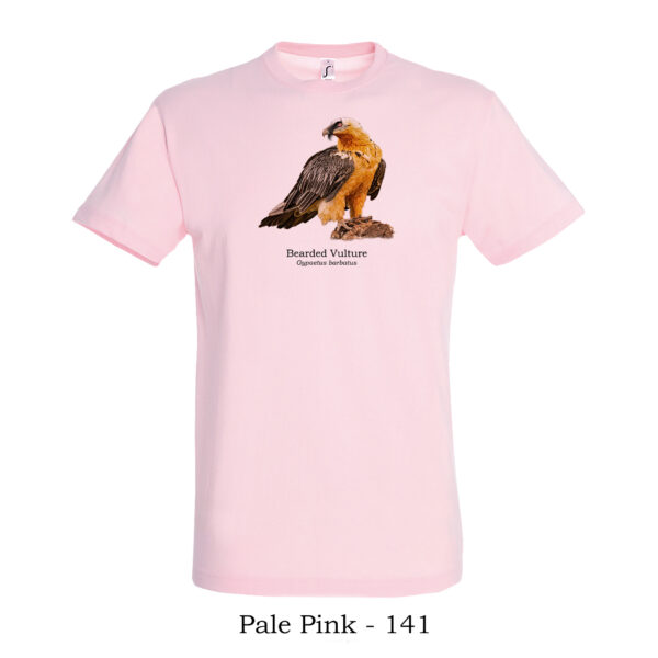 T-shirt με Γυπαετό, Gypaetus barbatus - Διάφορα χρώματα - Image 10