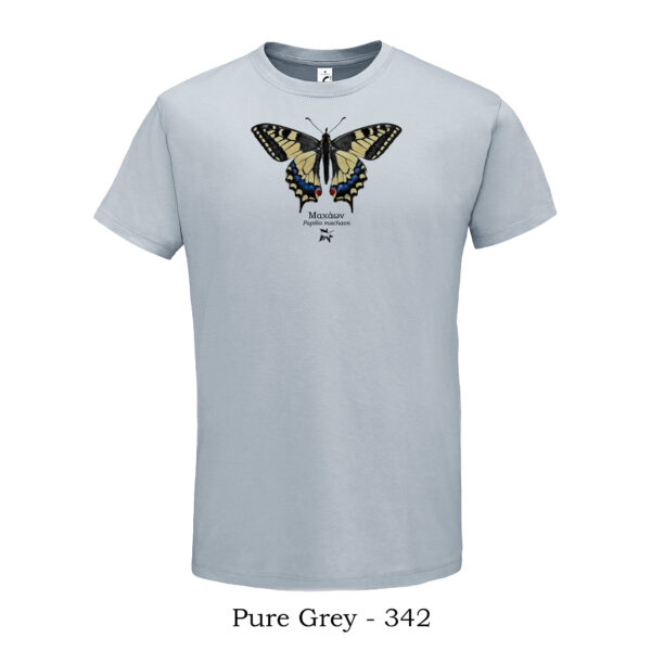 Πεταλούδα Μαχάων Papilio machaon tshirt t shirt πτηνά πουλιά θηλαστικά έντομα πανίδα ζώα της Ελλάδας