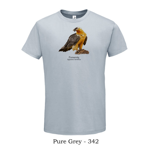 tshirt με Γυπαετό Gypaetus barbatus Bearded Vulture πανίδα Ελλάδας
