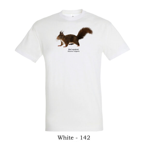 tshirt μπλουζάκι με Κόκκινο Σκίουρο Sciurus vulgaris θηλαστικά της Ελλάδας