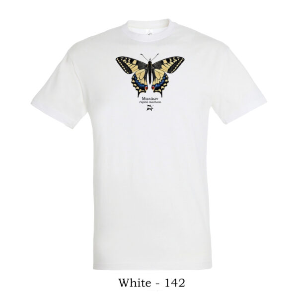 Πεταλούδα Μαχάων Papilio machaon tshirt t shirt πτηνά πουλιά θηλαστικά έντομα πανίδα ζώα της Ελλάδας