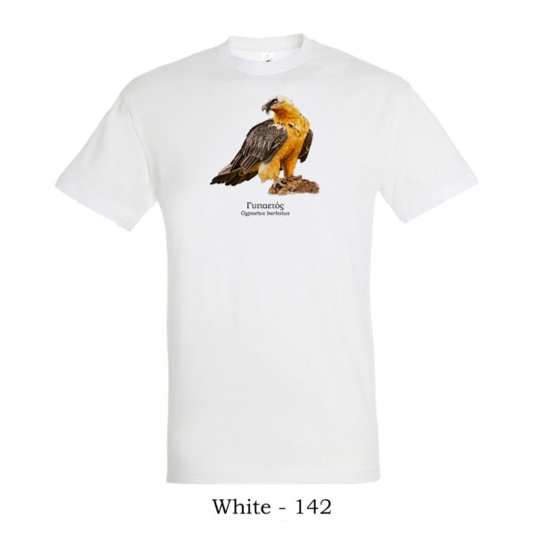 tshirt με Γυπαετό Gypaetus barbatus Bearded Vulture πτηνά Ελλάδας