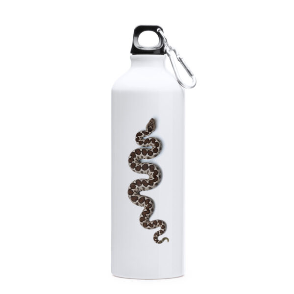 μπουκάλι θερμός με κερασφόρο οχιά vipera ammodytes οχιές της Ελλάδας snakes of Greece viper