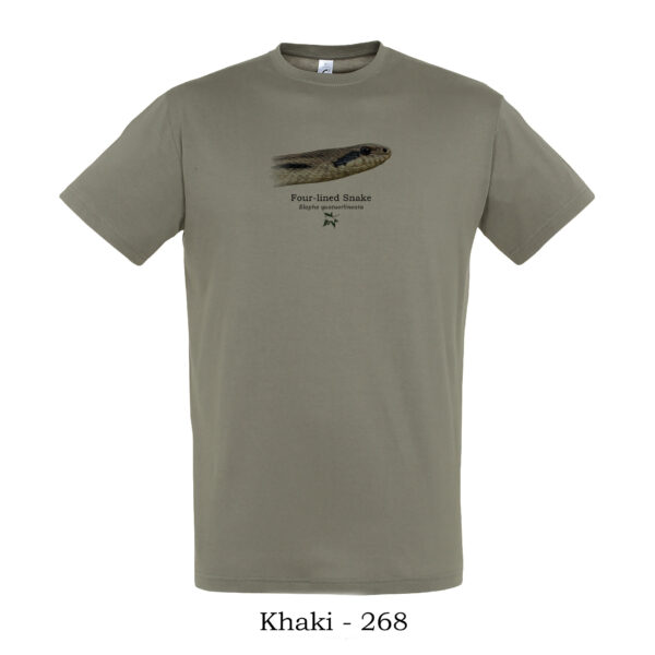 T-shirt - Λαφιάτης, Elaphe quatuorlineata, κοντινό προφίλ - Διάφορα χρώματα - Image 11