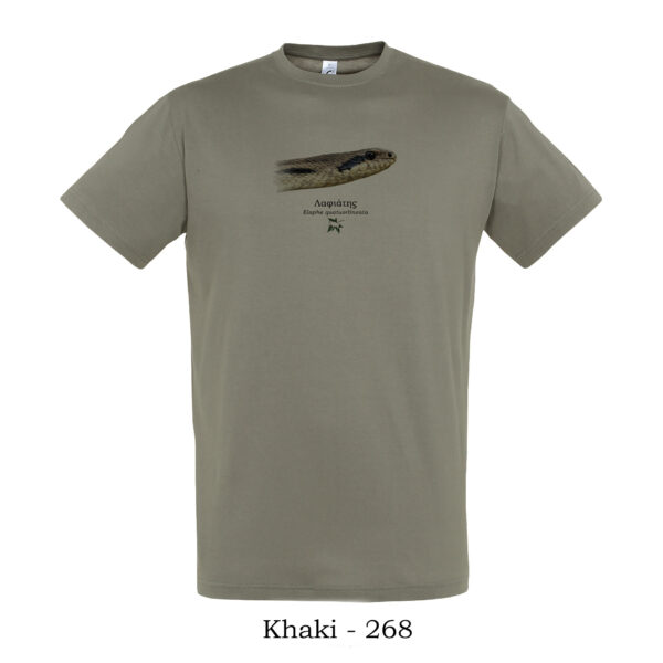 T-shirt - Λαφιάτης, Elaphe quatuorlineata, κοντινό προφίλ - Διάφορα χρώματα - Image 4