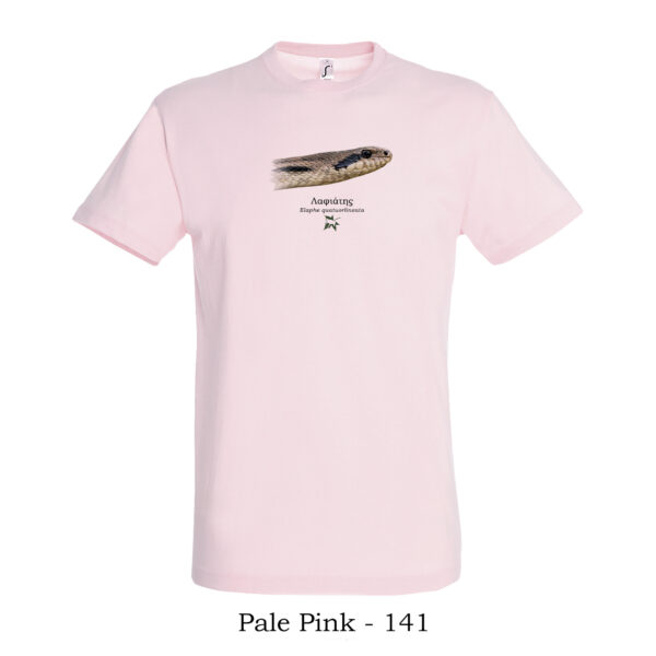 T-shirt - Λαφιάτης, Elaphe quatuorlineata, κοντινό προφίλ - Διάφορα χρώματα - Image 6