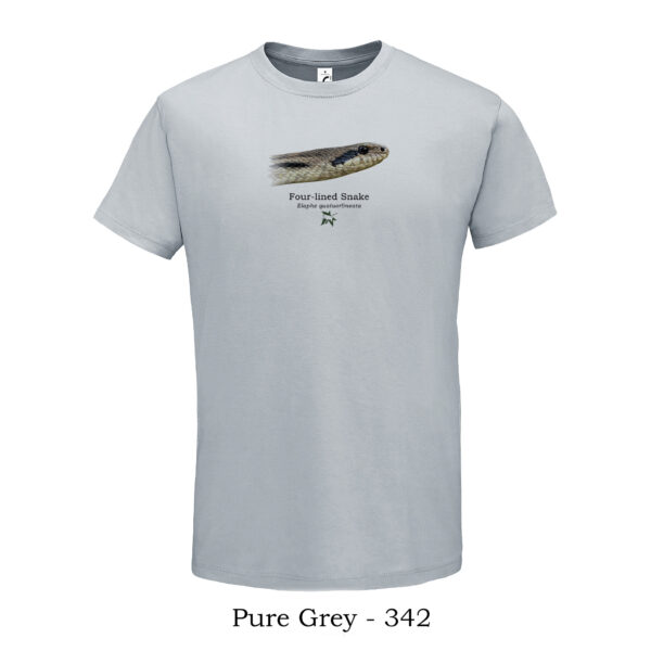 T-shirt - Λαφιάτης, Elaphe quatuorlineata, κοντινό προφίλ - Διάφορα χρώματα - Image 15