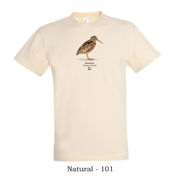 Μπεκάτσα Μπλουζάκι tshirt t shirt πτηνά πουλιά θηλαστικά έντομα πανίδα ζώα της Ελλάδας t-shirt