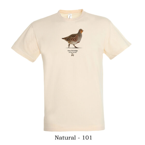 T-shirt - Πεδινή Πέρδικα, Perdix perdix - Διάφορα χρώματα - Image 10