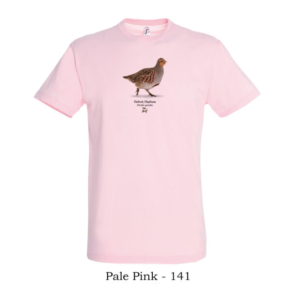 T-shirt - Πεδινή Πέρδικα, Perdix perdix - Διάφορα χρώματα - Image 7