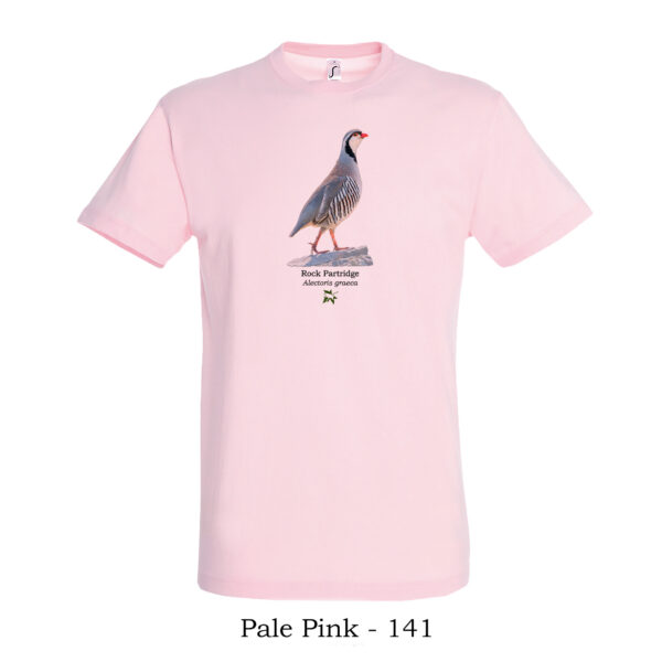 T-shirt - Πετροπέρδικα, Alectoris graeca - Διάφορα χρώματα - Image 12