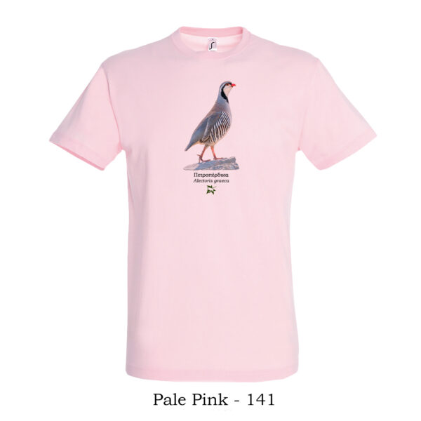 T-shirt - Πετροπέρδικα, Alectoris graeca - Διάφορα χρώματα - Image 3
