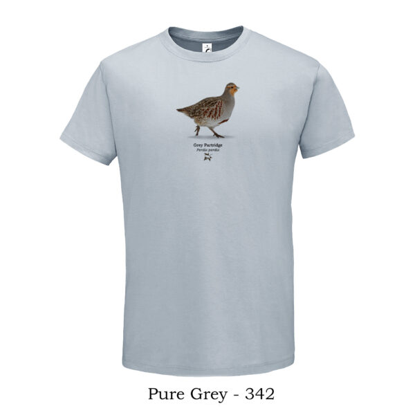 T-shirt - Πεδινή Πέρδικα, Perdix perdix - Διάφορα χρώματα - Image 12