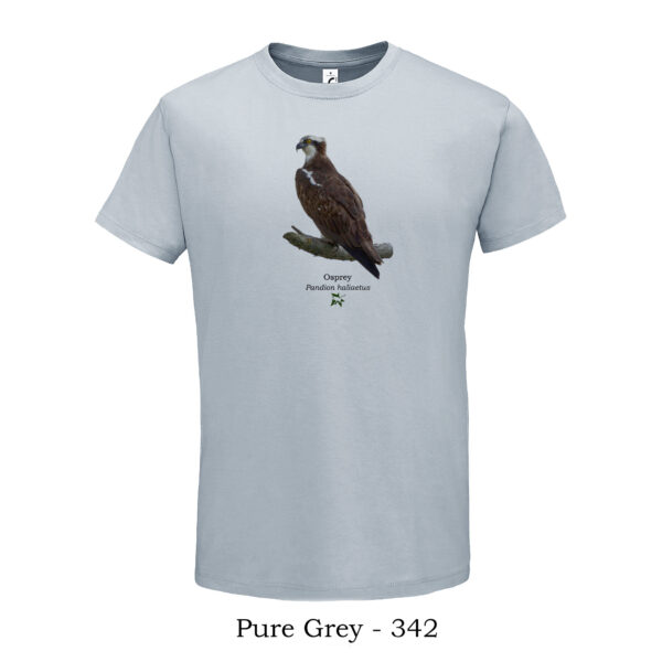 T-shirt με Ψαραετό, Pandion haliaetus - Διάφορα χρώματα - Image 5