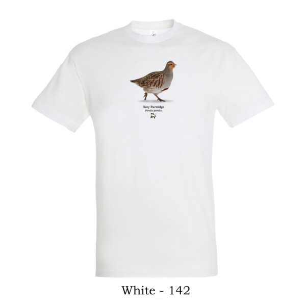 T-shirt - Πεδινή Πέρδικα, Perdix perdix - Διάφορα χρώματα - Image 13