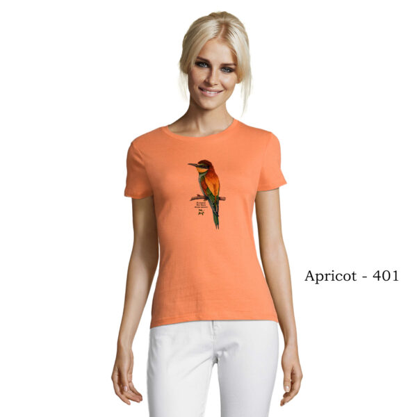 T-shirt γυναικείο - Μελισσοφάγος Merops apiaster- Διάφορα χρώματα