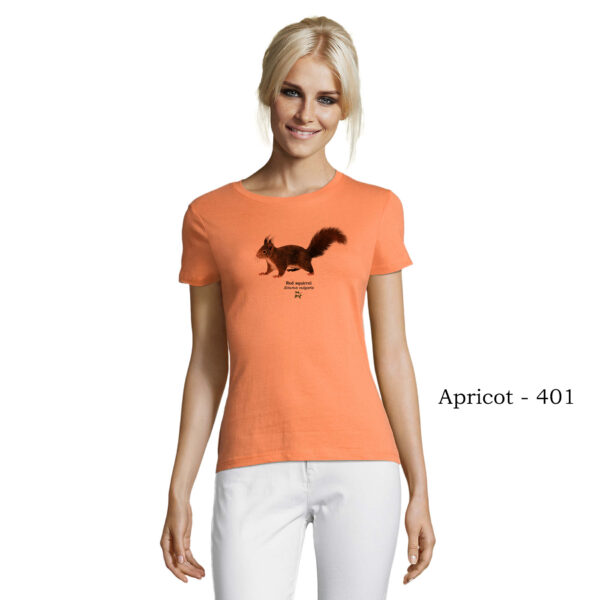 T-shirt γυναικείο - Κόκκινος Σκίουρος, Sciurus vulgaris - Διάφορα χρώματα - Image 15