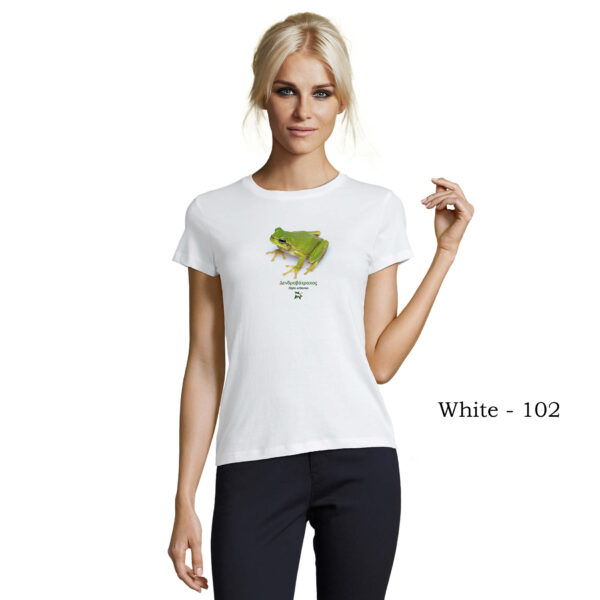T-shirt γυναικείο - Δενδροβάτραχος Hyla arborea