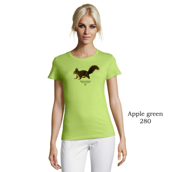 T-shirt γυναικείο - Κόκκινος Σκίουρος, Sciurus vulgaris - Διάφορα χρώματα - Image 8
