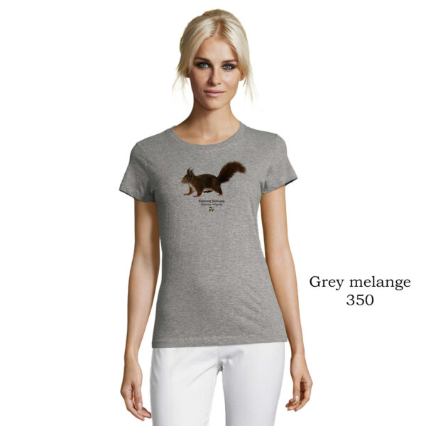 T-shirt γυναικείο - Κόκκινος Σκίουρος, Sciurus vulgaris - Διάφορα χρώματα - Image 3