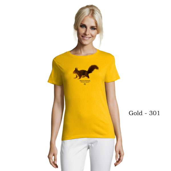 T-shirt γυναικείο - Κόκκινος Σκίουρος, Sciurus vulgaris - Διάφορα χρώματα - Image 4