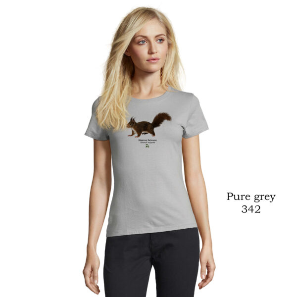 T-shirt γυναικείο - Κόκκινος Σκίουρος, Sciurus vulgaris - Διάφορα χρώματα - Image 2