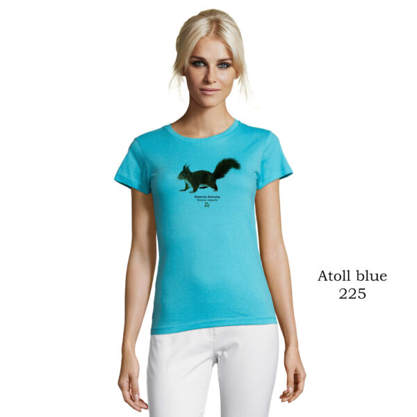 T-shirt γυναικείο - Κόκκινος Σκίουρος, Sciurus vulgaris - Διάφορα χρώματα - Image 5