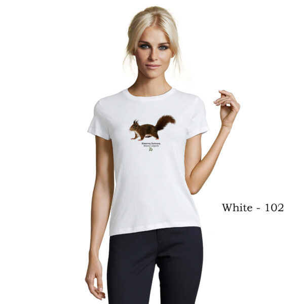 T-shirt γυναικείο - Κόκκινος Σκίουρος, Sciurus vulgaris - Διάφορα χρώματα - Image 18