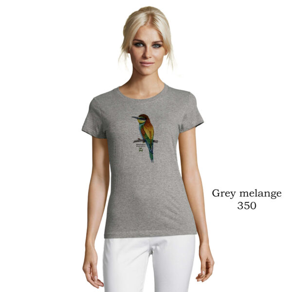T-shirt γυναικείο - Μελισσοφάγος Merops apiaster- Διάφορα χρώματα