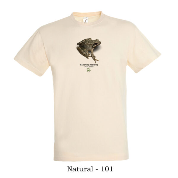 T-shirt Ελληνικός Βάτραχος Rana graeca - Διάφορα χρώματα - Image 14