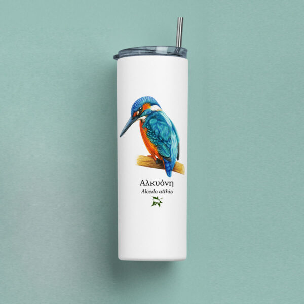 Ποτήρι Θερμός 570ml με μεταλλικό καλαμάκι - ΠΤΗΝΑ (διάφορα σχέδια) - Image 2