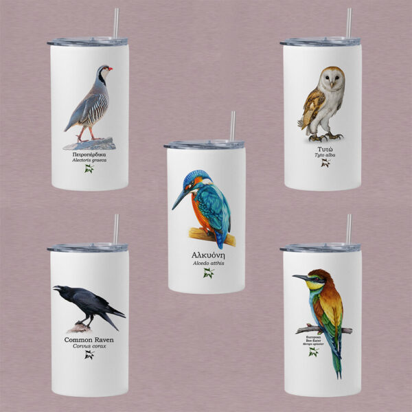 Ποτήρι thermos 360 ml με καλαμάκι - ΠΤΗΝΑ (διάφορα σχέδια)
