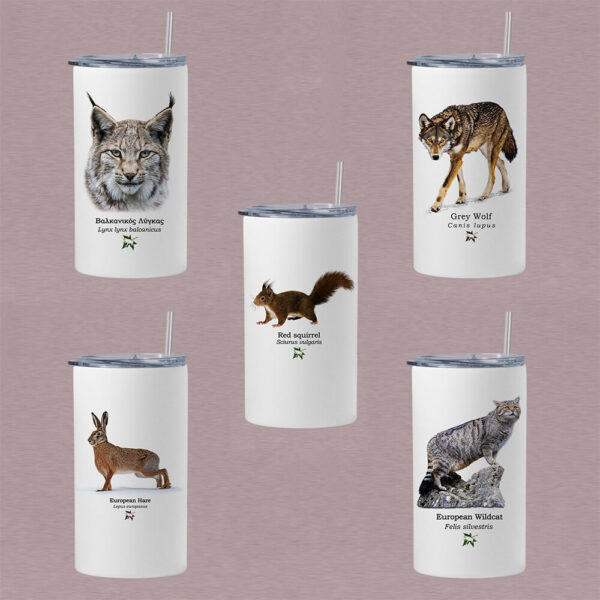 Ποτήρι thermos 360 ml με καλαμάκι - ΘΗΛΑΣΤΙΚΑ (διάφορα σχέδια)
