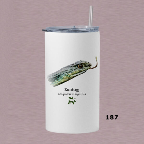 Ποτήρι thermos 360 ml με καλαμάκι - ΦΙΔΙΑ (διάφορα σχέδια) - Image 13