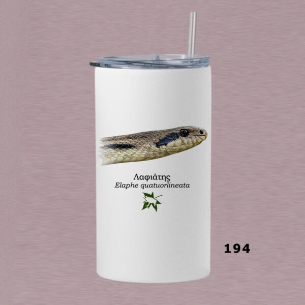 Ποτήρι thermos 360 ml με καλαμάκι - ΦΙΔΙΑ (διάφορα σχέδια) - Image 11
