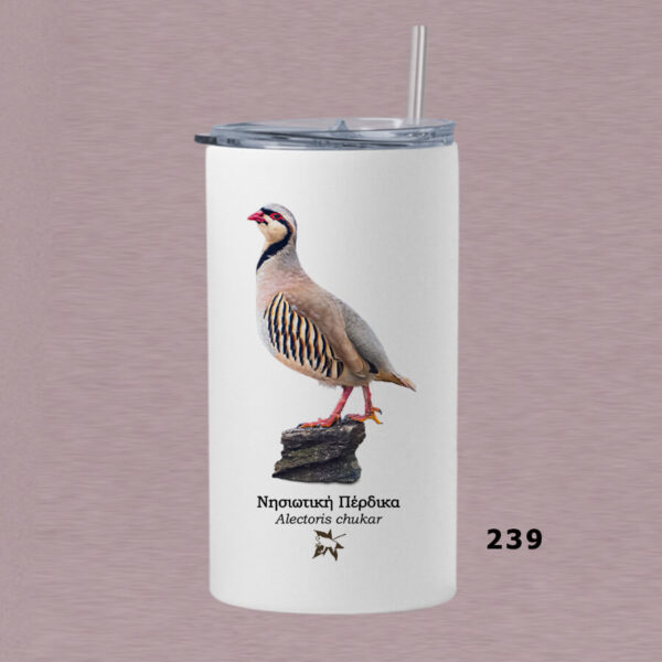 Ποτήρι thermos 360 ml με καλαμάκι - ΠΤΗΝΑ (διάφορα σχέδια) - Image 16
