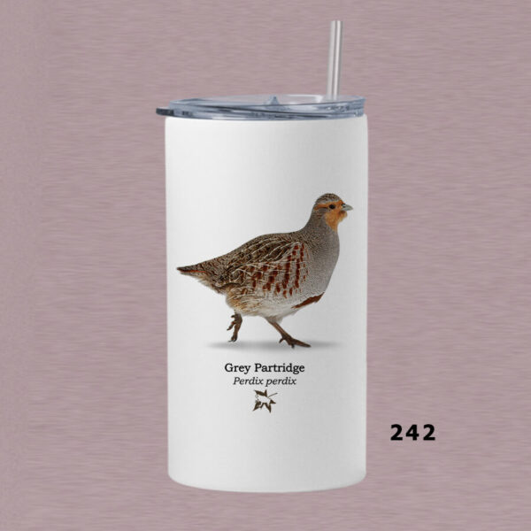Ποτήρι thermos 360 ml με καλαμάκι - ΠΤΗΝΑ (διάφορα σχέδια) - Image 31