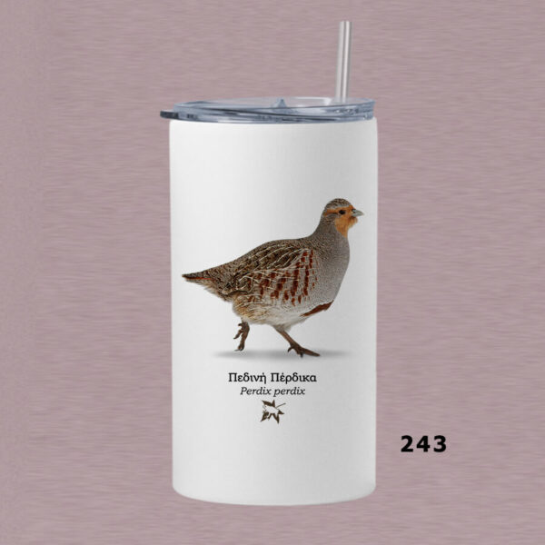 Ποτήρι thermos 360 ml με καλαμάκι - ΠΤΗΝΑ (διάφορα σχέδια) - Image 32