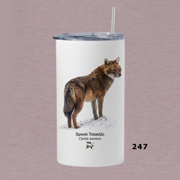 Ποτήρι thermos 360 ml με καλαμάκι - ΘΗΛΑΣΤΙΚΑ (διάφορα σχέδια) - Image 5