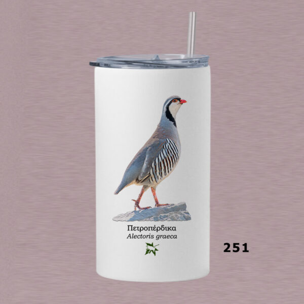 Ποτήρι thermos 360 ml με καλαμάκι - ΠΤΗΝΑ (διάφορα σχέδια) - Image 8