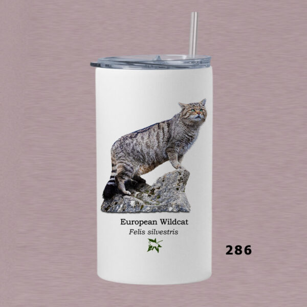 Ποτήρι thermos 360 ml με καλαμάκι - ΘΗΛΑΣΤΙΚΑ (διάφορα σχέδια) - Image 9
