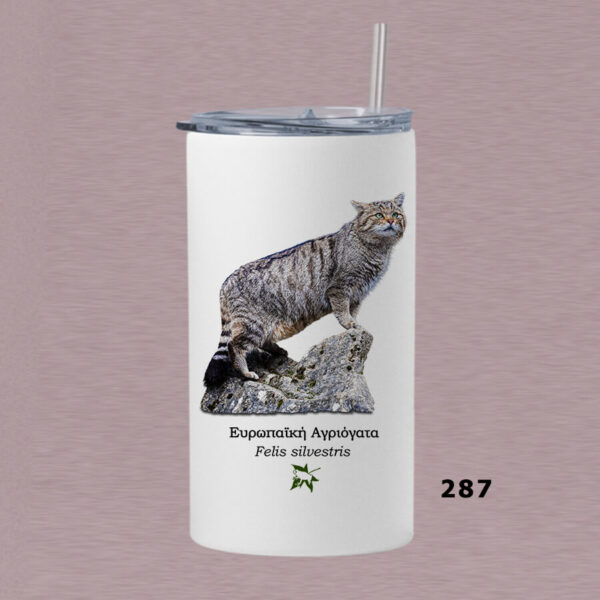 Ποτήρι thermos 360 ml με καλαμάκι - ΘΗΛΑΣΤΙΚΑ (διάφορα σχέδια) - Image 8